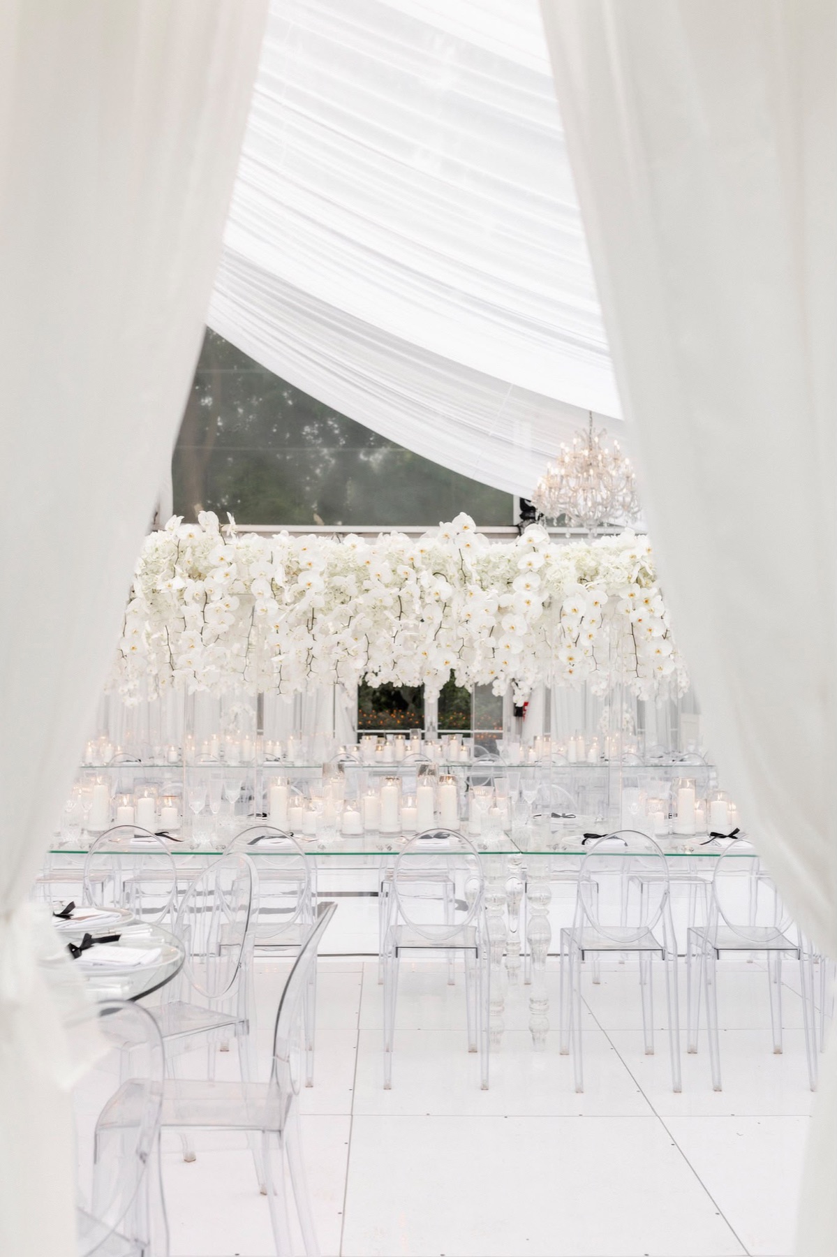 An all-white reception beneath sweeping drapery and orchids